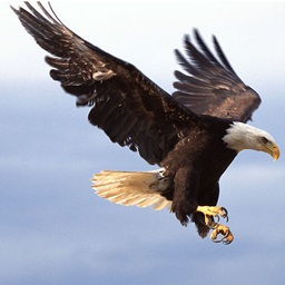 思归-家人定位防走失