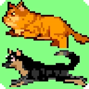 Cat and Dog Run on Screen