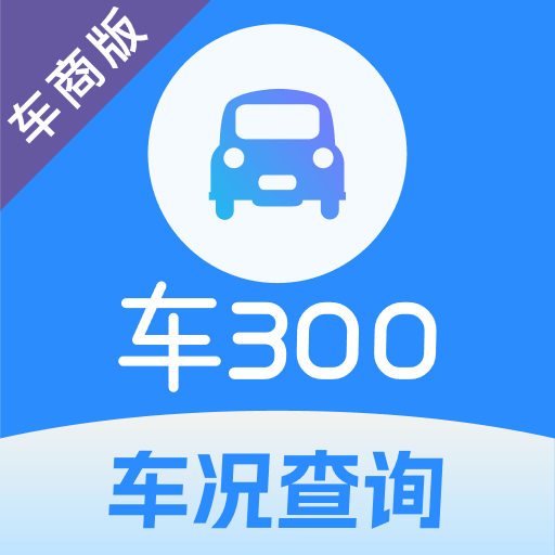 车 300 专业版