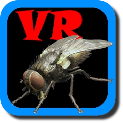 VR Fly